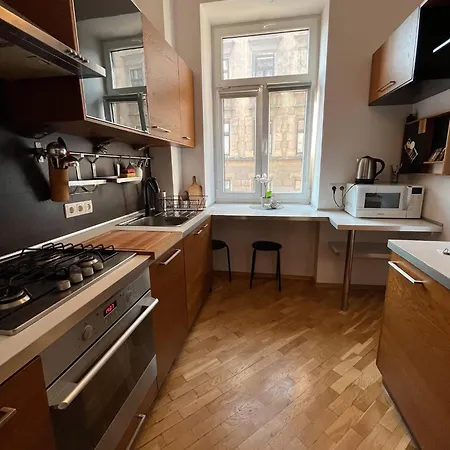 Spacious Flat Krakau